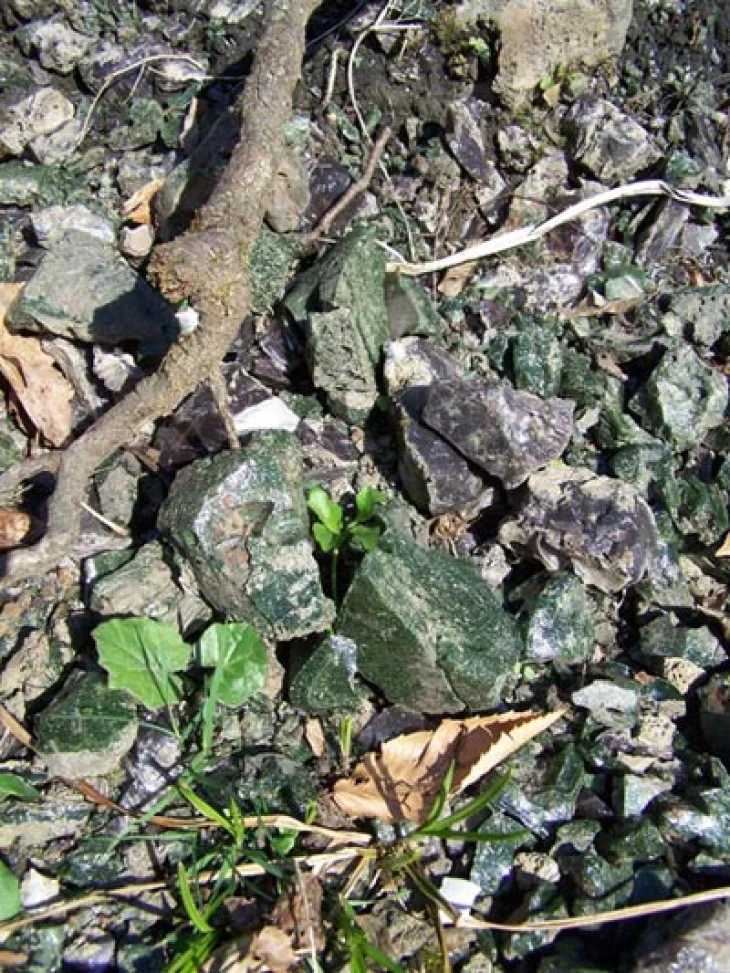 Oct0209_context_pic.jpg Image