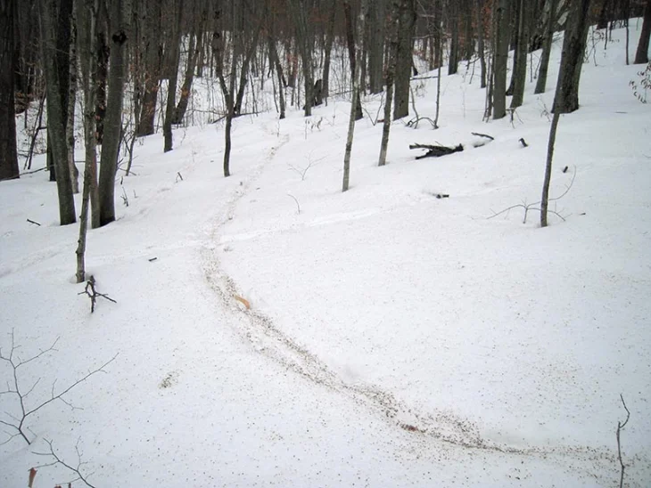 WITWIT-4-13-18.jpg Image