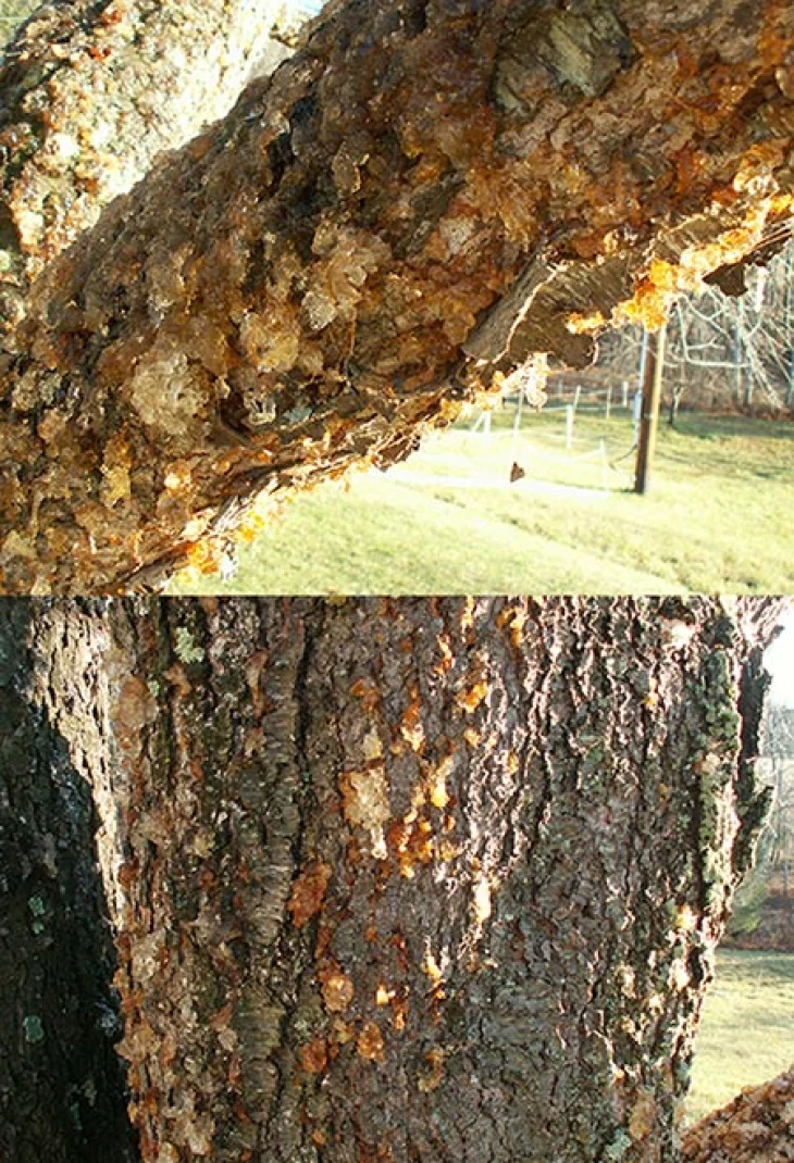WITWIT_Dec25_mystery.jpg Image