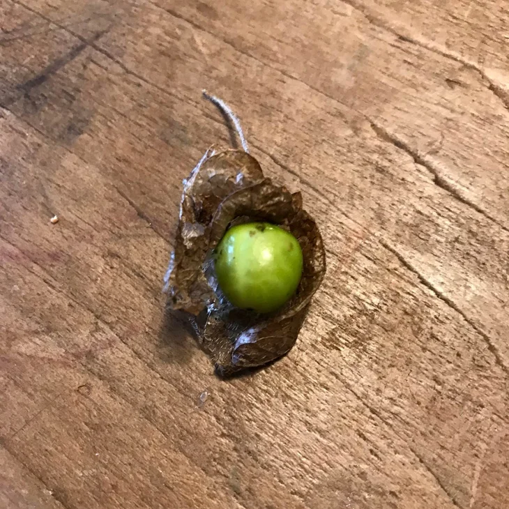 Mystery package Image