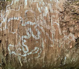 Mystery marks thumbnail