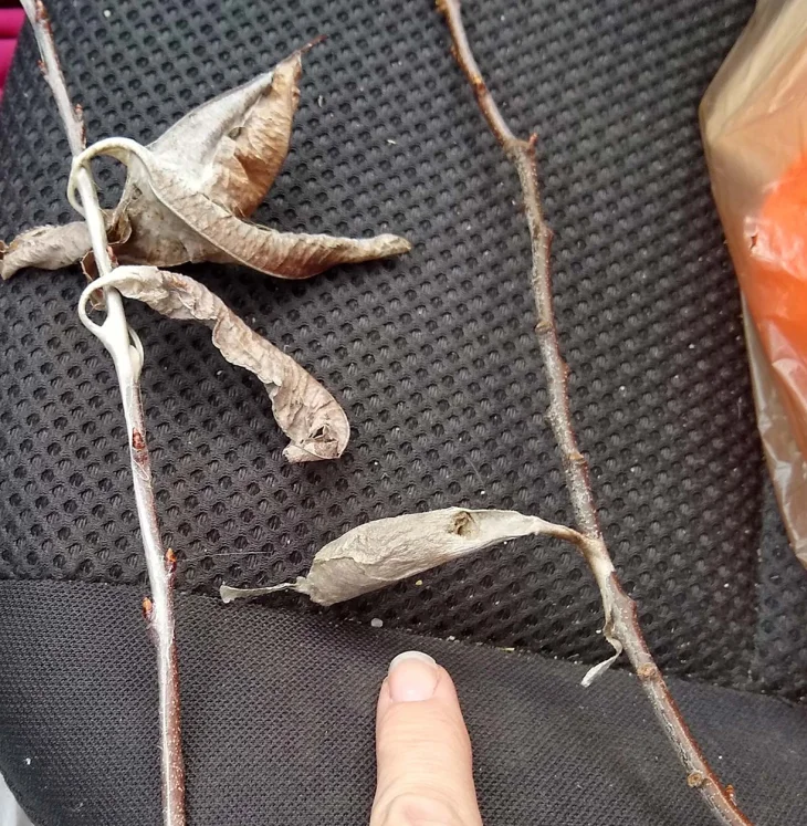 Mystery photo Image