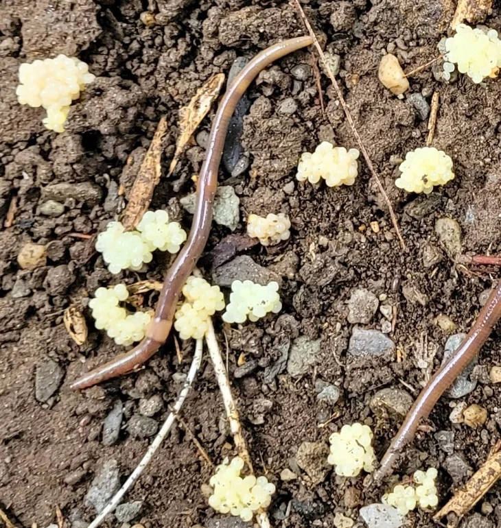 Mystery photo Image
