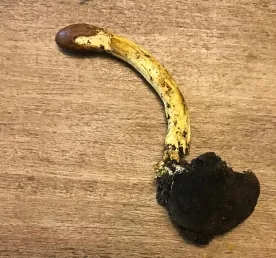Mystery photo thumbnail